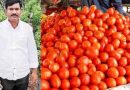 टमाटर ने बिगाड़ा रसोई का बजट, अब कीमत 100 रुपये किलो के पार हुई