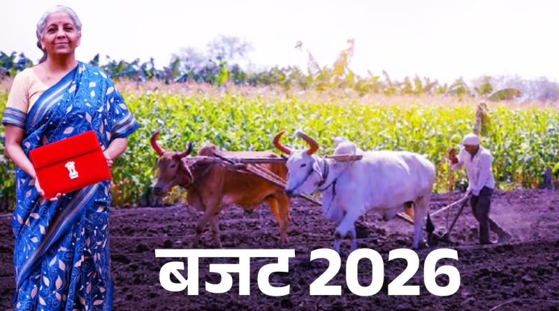 Union Budget 2026: छोटे और सीमांत किसानों पर सरकार का बड़ा दांव, ग्रामीण आय बढ़ाने के लिए व्यापक पैकेज